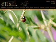 Tablet Screenshot of diemer-weine.com